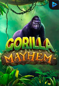 Bocoran RTP Gorilla Mayhem di Shibatoto Generator RTP Terbaik dan Terlengkap